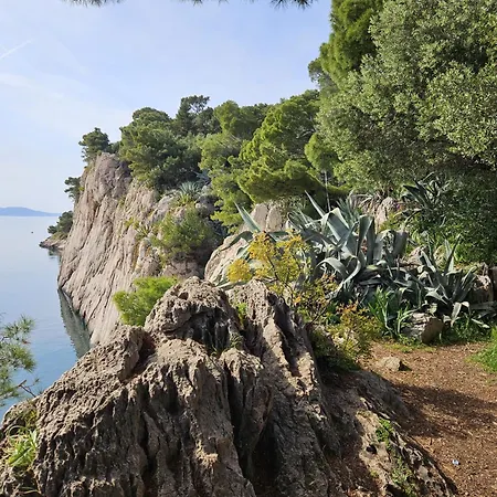 Frane * Makarska